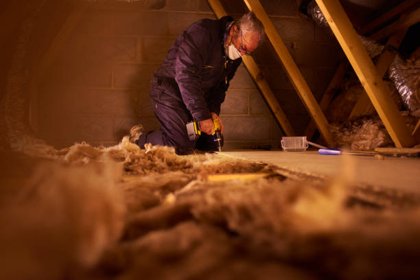 Best Cellulose Insulation in Durham, CA